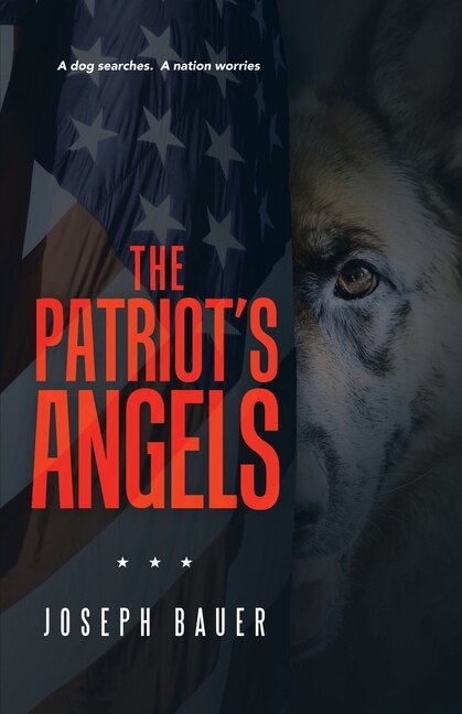 Front cover_The Patriot's Angels
