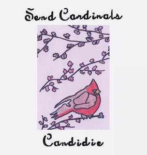 Front cover_Send Cardinals