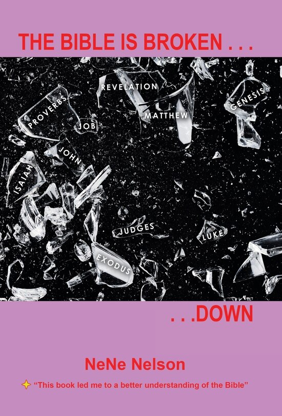 Couverture_The Bible Is Broken...Down