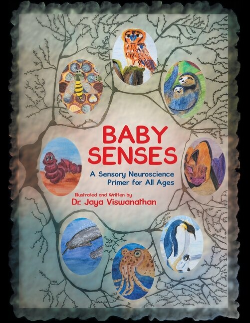 Couverture_Baby Senses