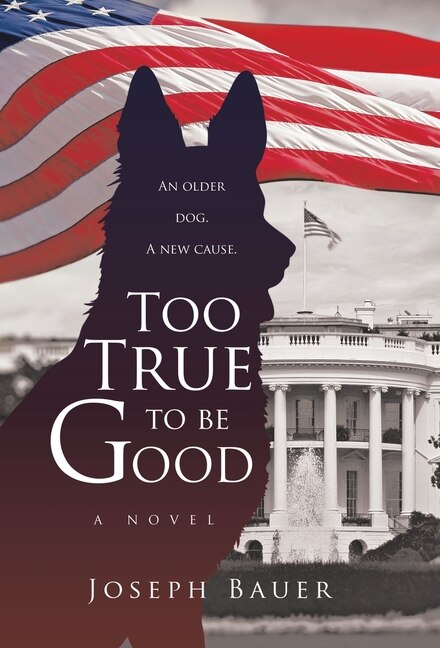 Front cover_Too True to Be Good