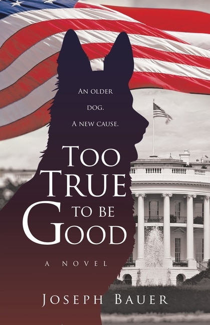 Front cover_Too True to Be Good