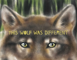 Front cover_This Wolf Was Different