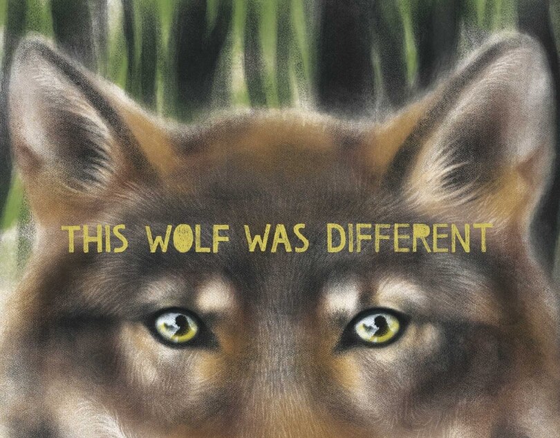 Front cover_This Wolf Was Different