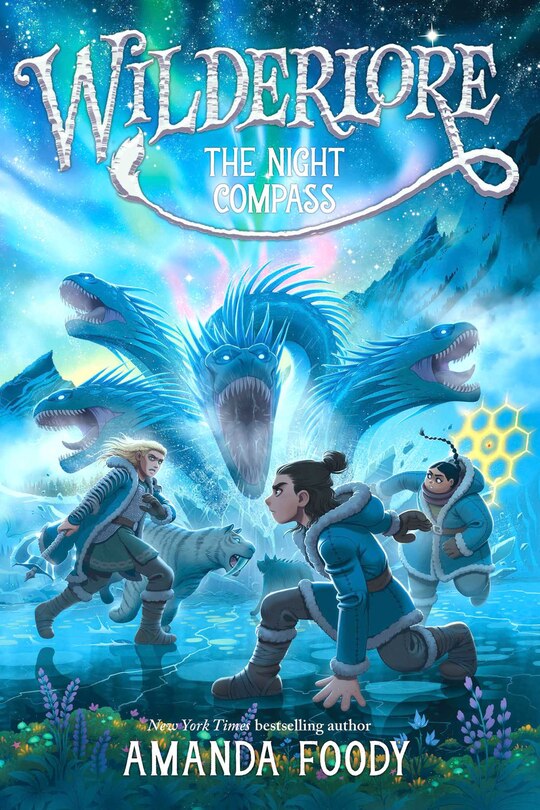 Front cover_The Night Compass