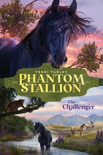 Couverture_The Challenger