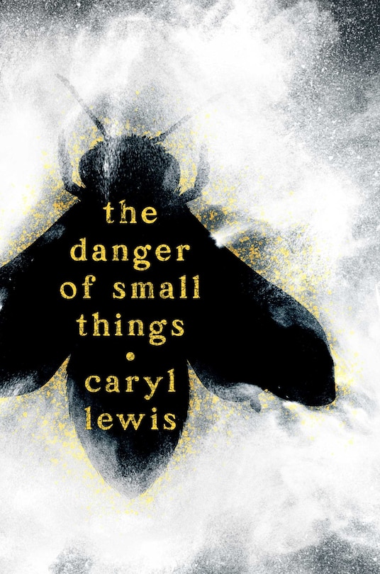 Front cover_The Danger of Small Things