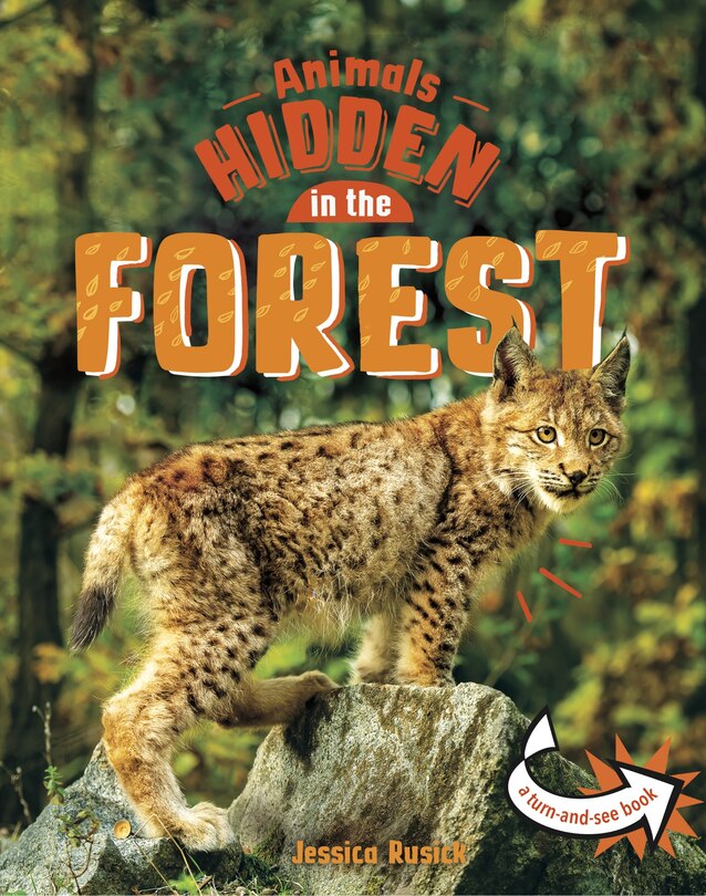 Front cover_Animals Hidden in the Forest