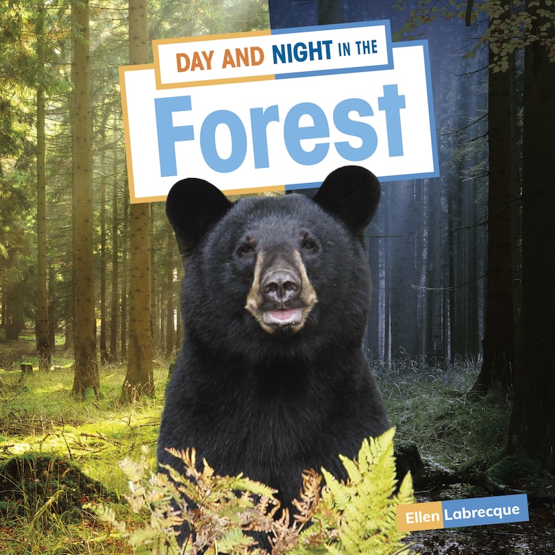Front cover_Day and Night in the Forest