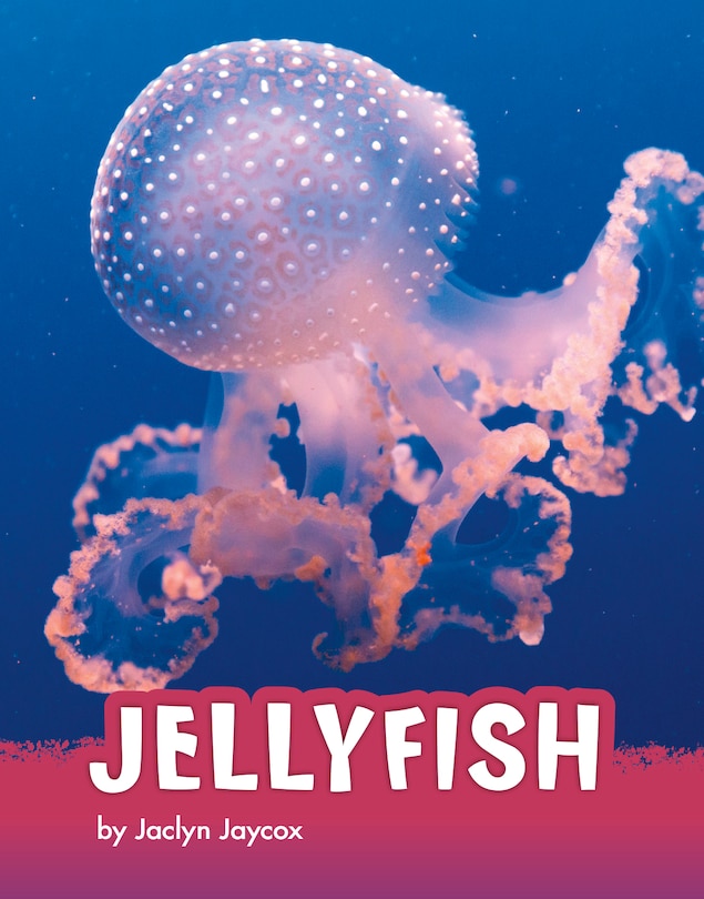 Jellyfish