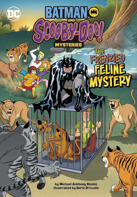 Front cover_The Frenzied Feline Mystery