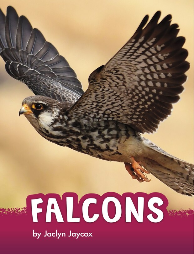 Front cover_Falcons