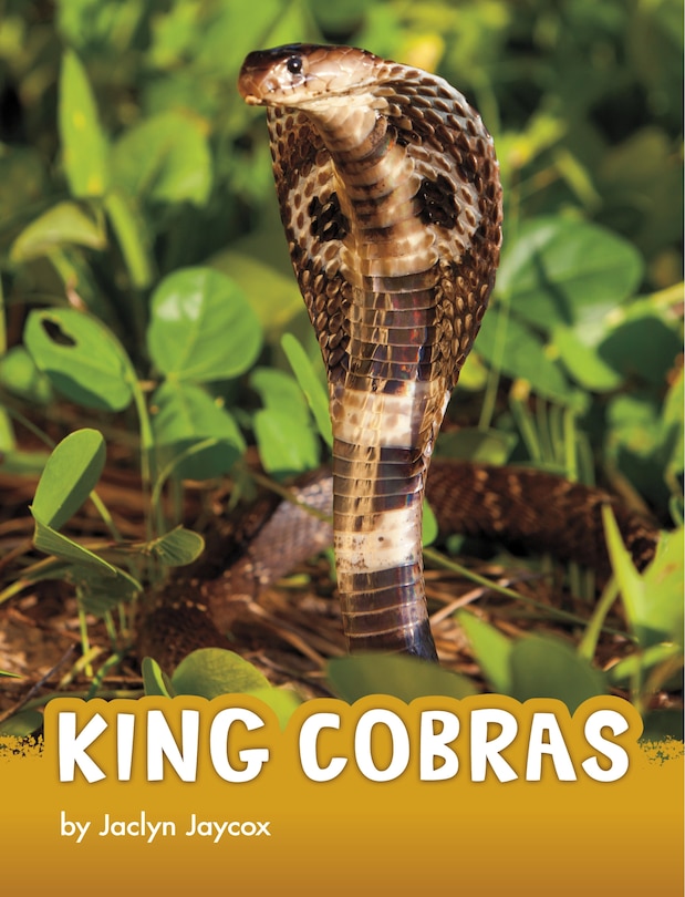 Front cover_King Cobras