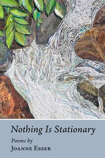 Couverture_Nothing Is Stationary