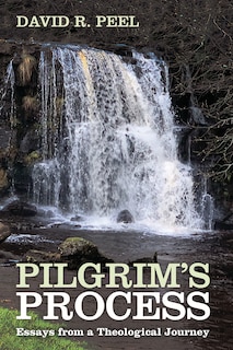 Front cover_Pilgrim's Process