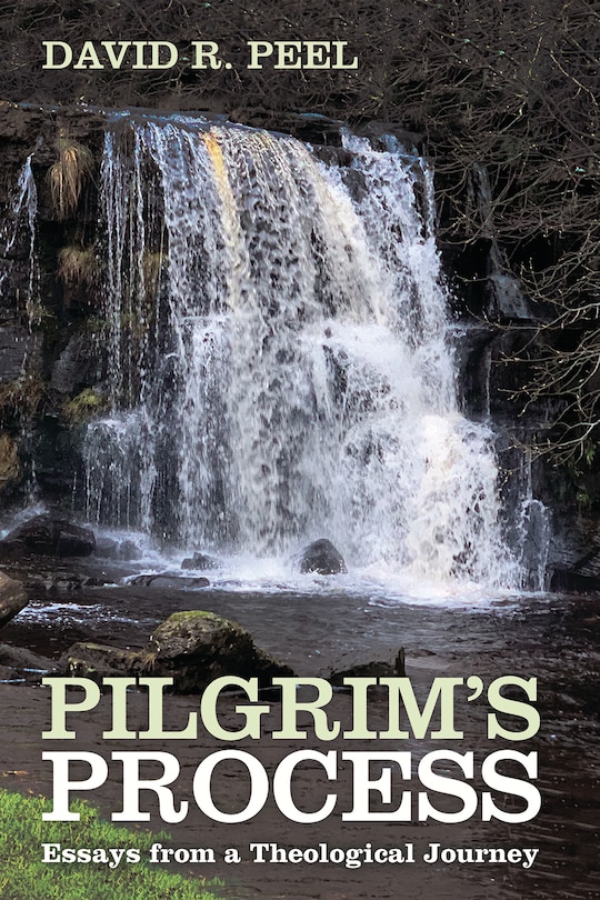 Front cover_Pilgrim's Process