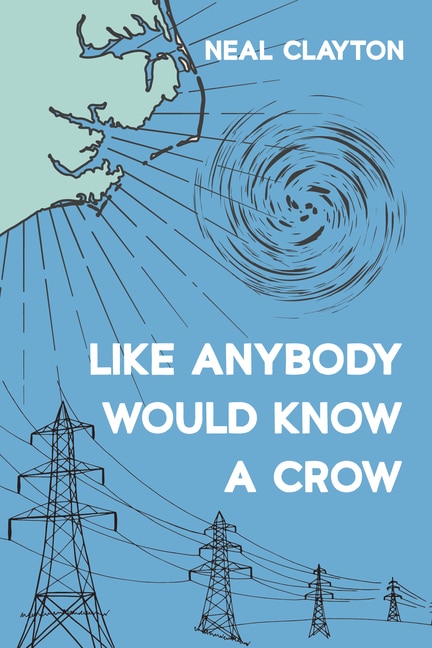 Front cover_Like Anybody Would Know a Crow