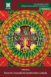 Couverture_How Would we Know what God is up to?