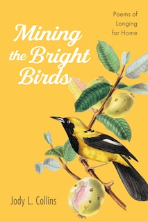 Front cover_Mining the Bright Birds