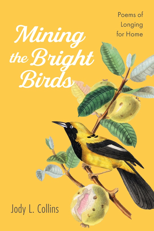 Front cover_Mining the Bright Birds