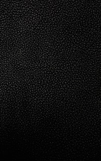 Couverture_The 4 Year Journal