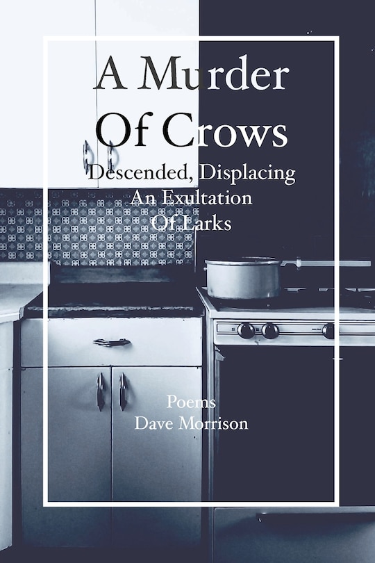 Couverture_A Murder of Crows Descended, Displacing an Exultation of Larks