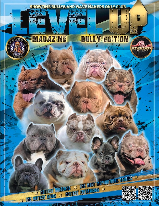 Front cover_Level Up