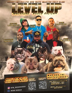 Front cover_Level Up