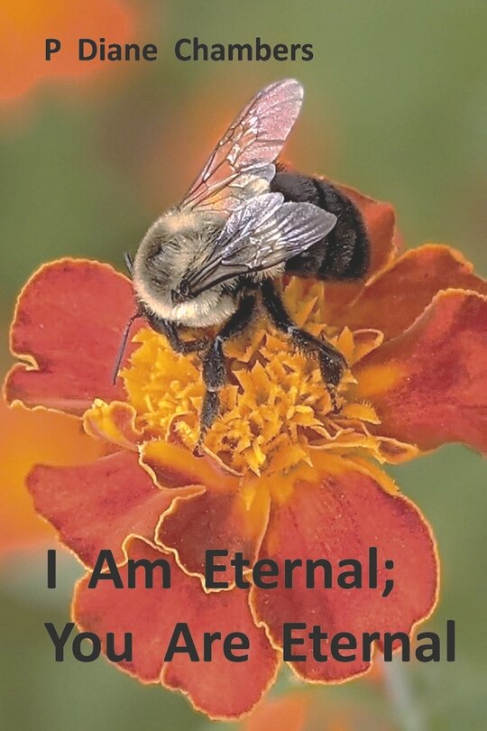 Couverture_I Am Eternal; You Are Eternal