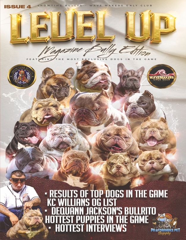 Front cover_Level Up Magazine