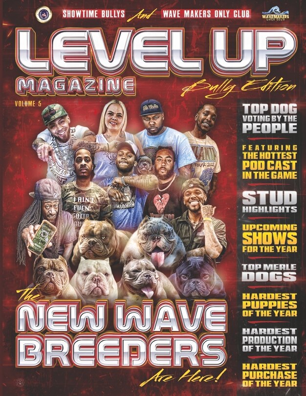 Couverture_Level Up Magazine: Bully Edition
