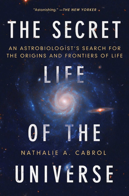 Front cover_The Secret Life of the Universe