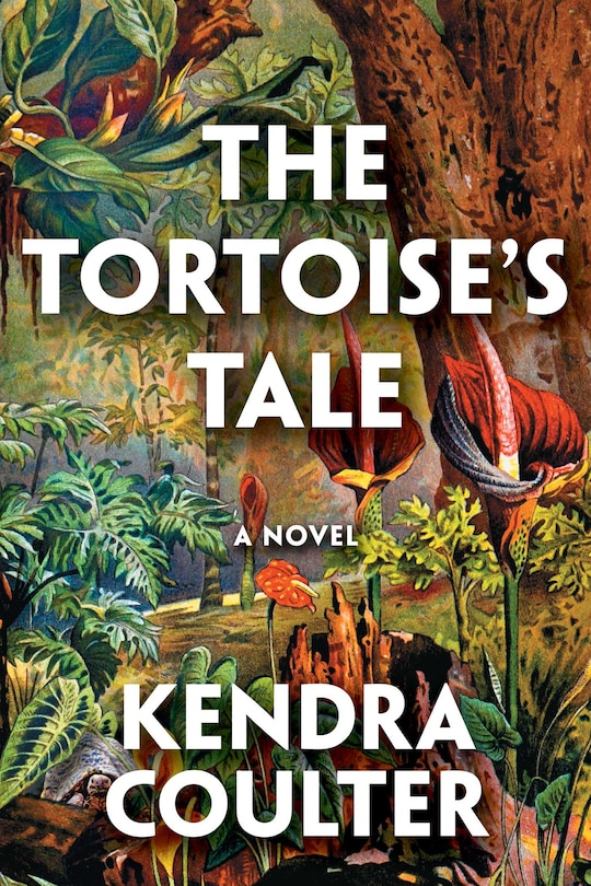 Front cover_The Tortoise's Tale