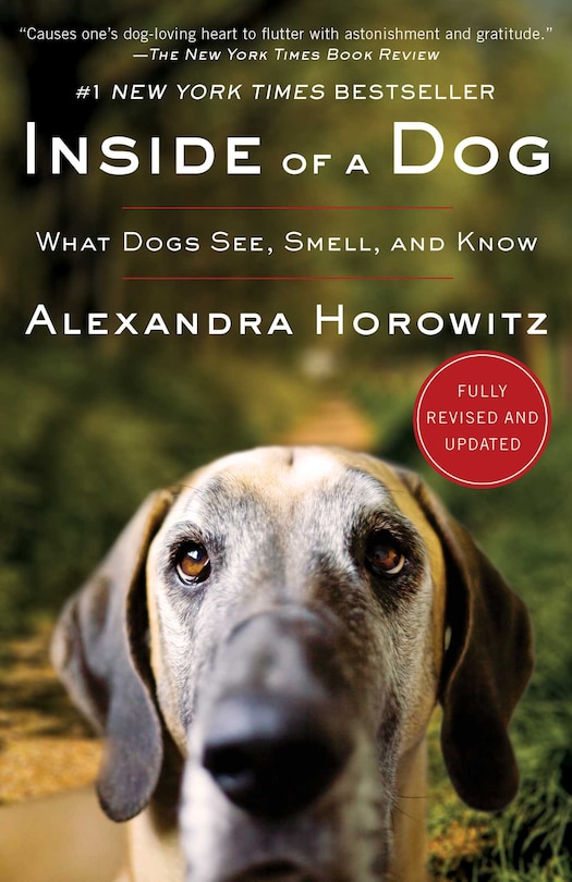 Couverture_Inside of a Dog