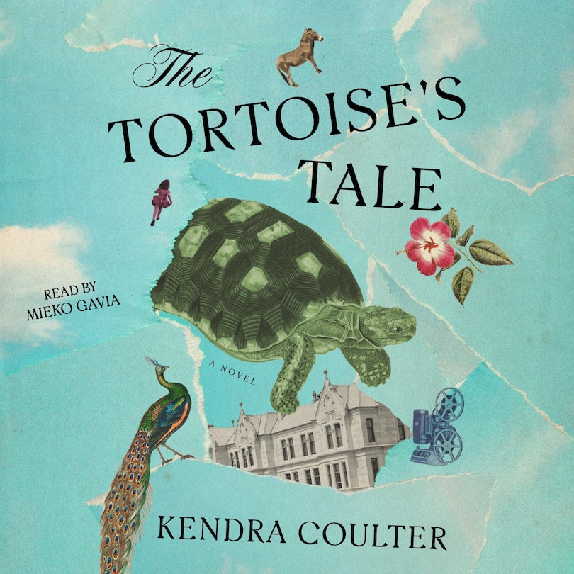 Couverture_The Tortoise's Tale