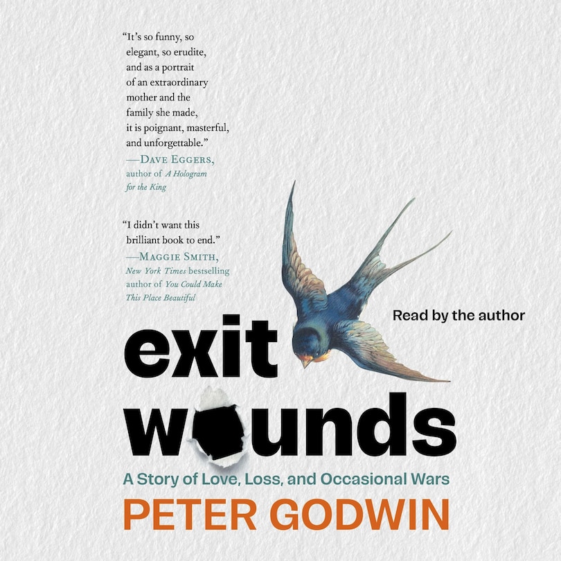 Couverture_Exit Wounds