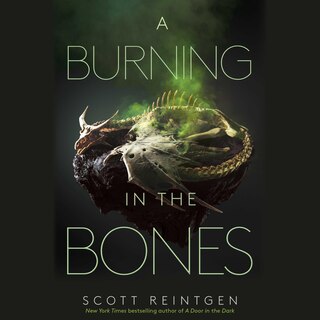 Front cover_A Burning in the Bones