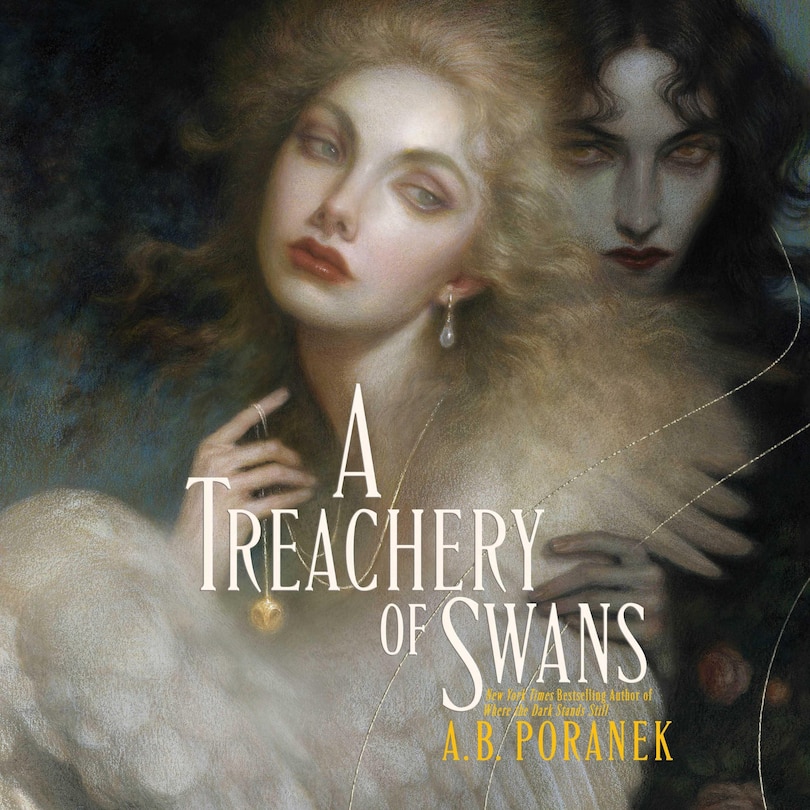 Front cover_A Treachery of Swans