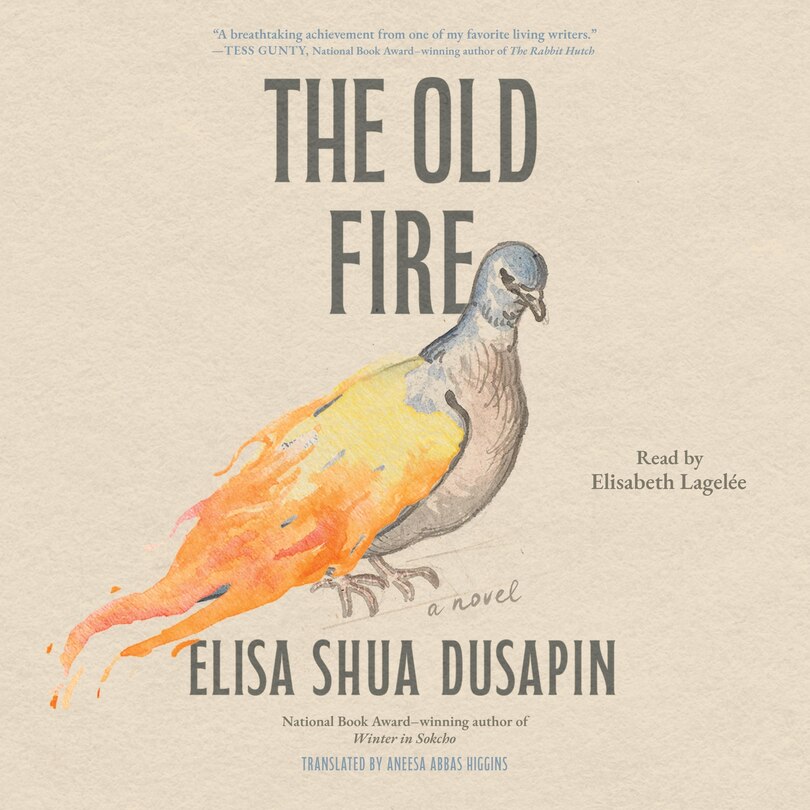 Front cover_The Old Fire