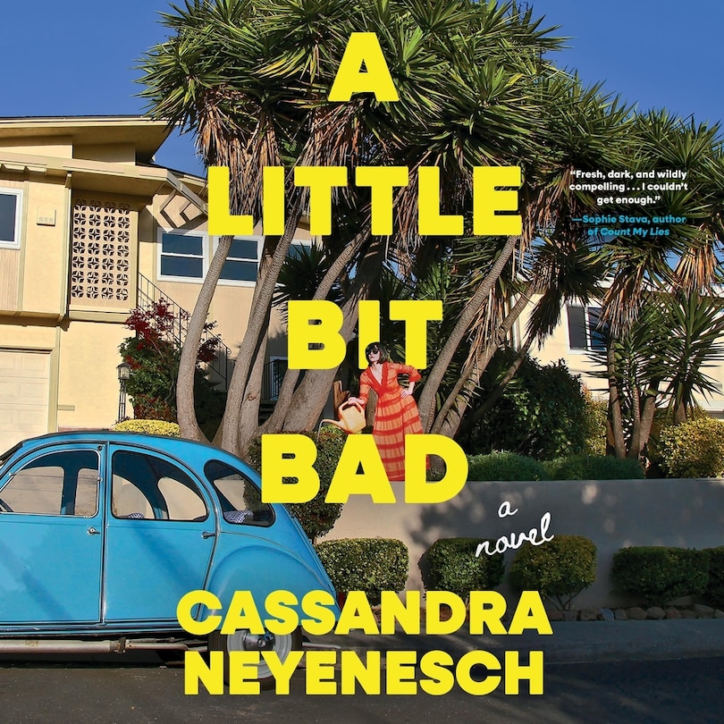 Couverture_A Little Bit Bad