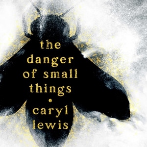Couverture_The Danger of Small Things