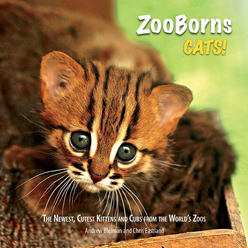 Front cover_ZooBorns Cats!