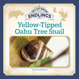 Front cover_Yellow-Tipped Oahu Tree Snail