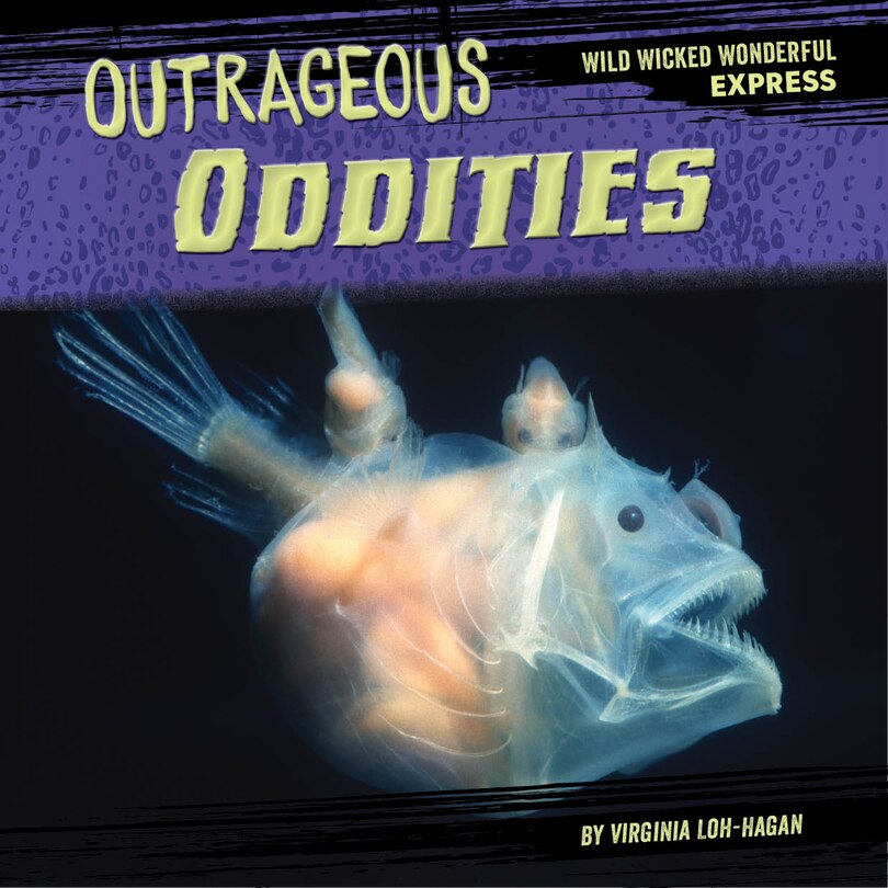 Front cover_Outrageous Oddities