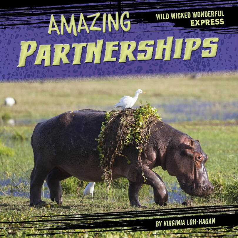 Couverture_Amazing Partnerships