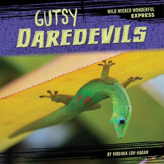 Front cover_Gutsy Daredevils