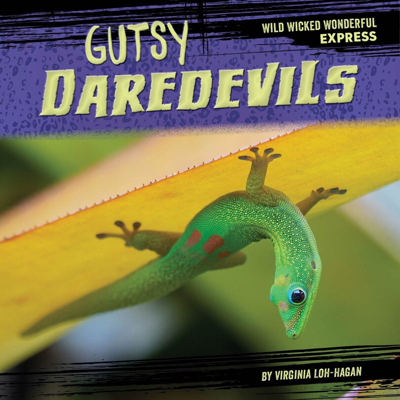 Front cover_Gutsy Daredevils