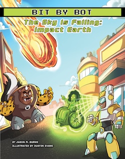 Couverture_The Sky Is Falling