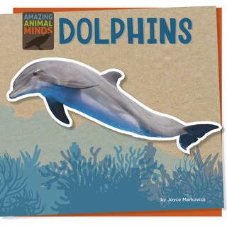 Front cover_Dolphins
