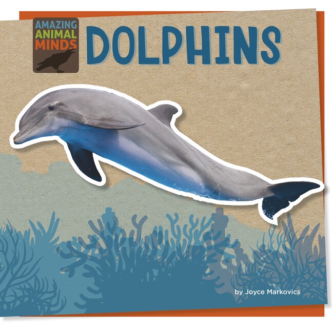 Front cover_Dolphins